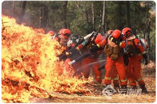 保護(hù)森林資源安全，構(gòu)筑生態(tài)麗江